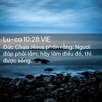 Picture 02 - Lu-ca 10:28 VIE - Đức Chúa Jêsus phán rằng: Ngươi đáp - Bible Verse Picture