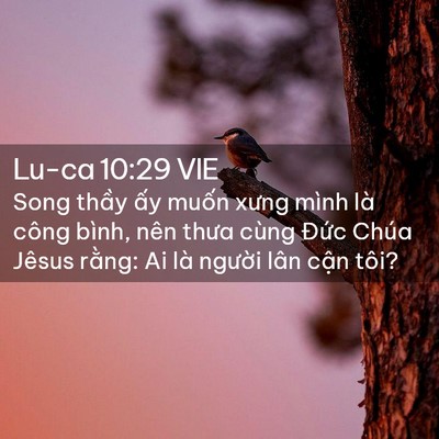 Picture 02 - Lu-ca 10:29 VIE - Song thầy ấy muốn xưng mình là công - Bible Verse Picture