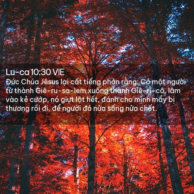 Picture 02 - Lu-ca 10:30 VIE - Đức Chúa Jêsus lại cất tiếng phán - Bible Verse Picture