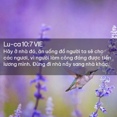 Picture 02 - Lu-ca 10:7 VIE - Hãy ở nhà đó, ăn uống đồ người ta - Bible Verse Picture