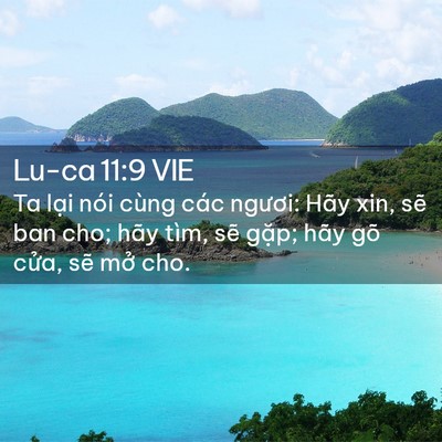 Picture 02 - Lu-ca 11:9 VIE - Ta lại nói cùng các ngươi: Hãy xin, sẽ - Bible Verse Picture