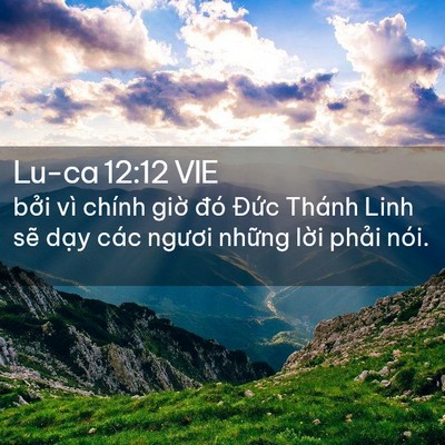 Picture 02 - Lu-ca 12:12 VIE - bởi vì chính giờ đó Đức Thánh Linh - Bible Verse Picture