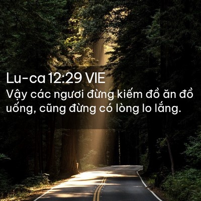 Picture 02 - Lu-ca 12:29 VIE - Vậy các ngươi đừng kiếm đồ ăn đồ - Bible Verse Picture