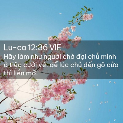 Picture 02 - Lu-ca 12:36 VIE - Hãy làm như người chờ đợi chủ mình - Bible Verse Picture