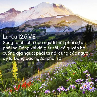 Picture 02 - Lu-ca 12:5 VIE - Song ta chỉ cho các ngươi biết phải sợ - Bible Verse Picture