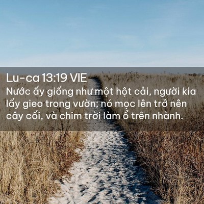 Picture 02 - Lu-ca 13:19 VIE - Nước ấy giống như một hột cải, - Bible Verse Picture