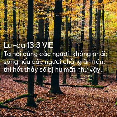 Picture 02 - Lu-ca 13:3 VIE - Ta nói cùng các ngươi, không phải; song - Bible Verse Picture