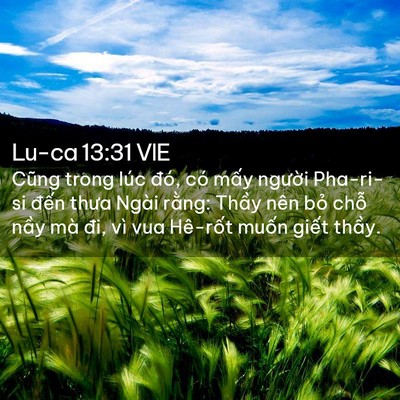 Picture 02 - Lu-ca 13:31 VIE - Cũng trong lúc đó, có mấy người - Bible Verse Picture