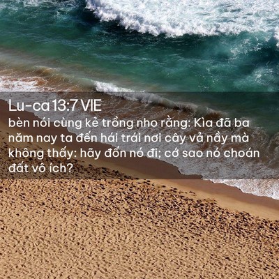 Picture 02 - Lu-ca 13:7 VIE - bèn nói cùng kẻ trồng nho rằng: Kìa - Bible Verse Picture