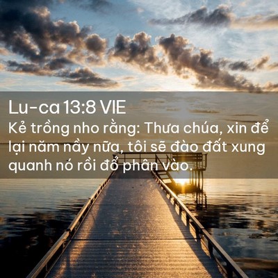 Picture 02 - Lu-ca 13:8 VIE - Kẻ trồng nho rằng: Thưa chúa, xin để - Bible Verse Picture
