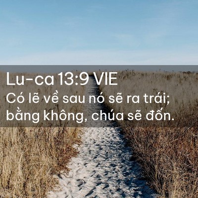 Picture 02 - Lu-ca 13:9 VIE - Có lẽ về sau nó sẽ ra trái; bằng - Bible Verse Picture