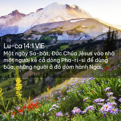 Picture 02 - Lu-ca 14:1 VIE - Một ngày Sa-bát, Đức Chúa Jêsus vào - Bible Verse Picture