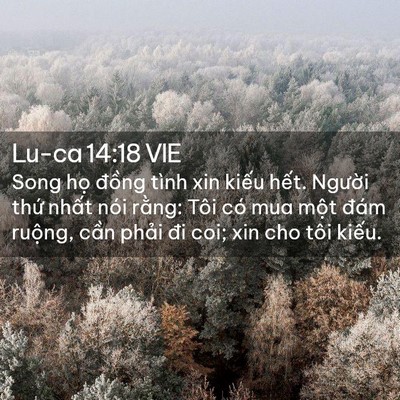 Picture 02 - Lu-ca 14:18 VIE - Song họ đồng tình xin kiếu hết. - Bible Verse Picture