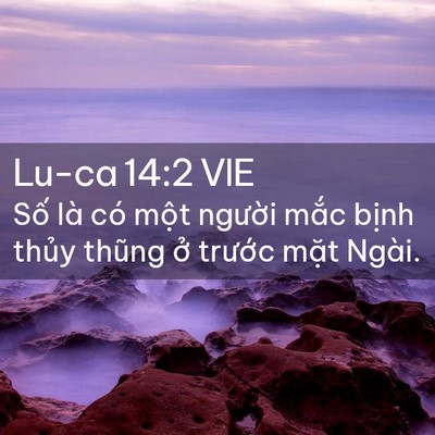 Picture 02 - Lu-ca 14:2 VIE - Số là có một người mắc bịnh thủy - Bible Verse Picture