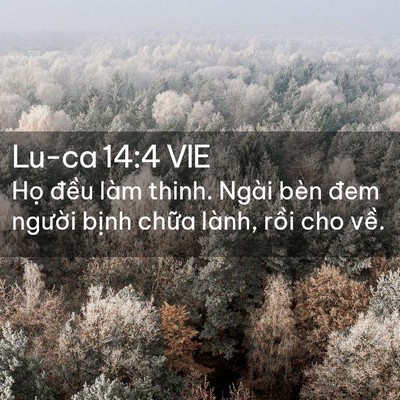 Picture 02 - Lu-ca 14:4 VIE - Họ đều làm thinh. Ngài bèn đem người - Bible Verse Picture