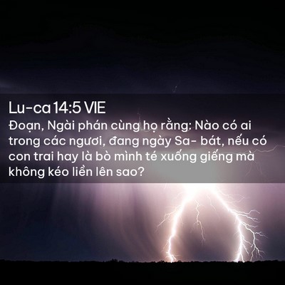 Picture 02 - Lu-ca 14:5 VIE - Đoạn, Ngài phán cùng họ rằng: Nào có - Bible Verse Picture