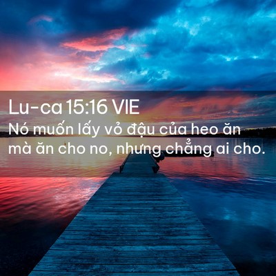Picture 02 - Lu-ca 15:16 VIE - Nó muốn lấy vỏ đậu của heo ăn mà - Bible Verse Picture