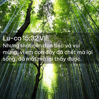 Picture 02 - Lu-ca 15:32 VIE - Nhưng thật nên dọn tiệc và vui mừng, - Bible Verse Picture