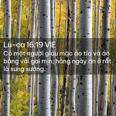 Picture 02 - Lu-ca 16:19 VIE - Có một người giàu mặc áo tía và áo - Bible Verse Picture