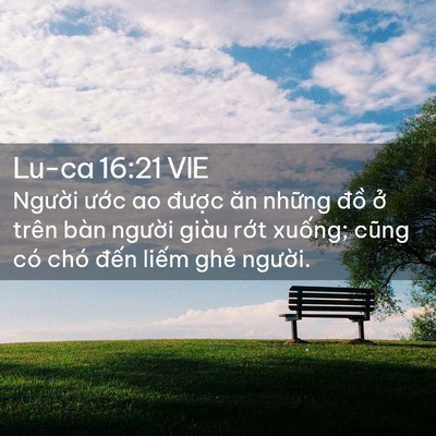 Picture 02 - Lu-ca 16:21 VIE - Người ước ao được ăn những đồ ở - Bible Verse Picture