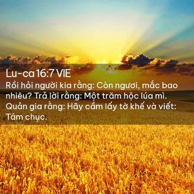 Picture 02 - Lu-ca 16:7 VIE - Rồi hỏi người kia rằng: Còn ngươi, - Bible Verse Picture