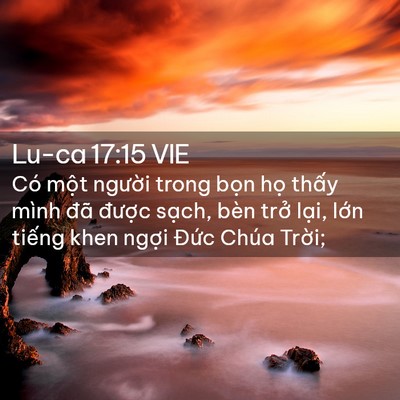 Picture 02 - Lu-ca 17:15 VIE - Có một người trong bọn họ thấy mình - Bible Verse Picture
