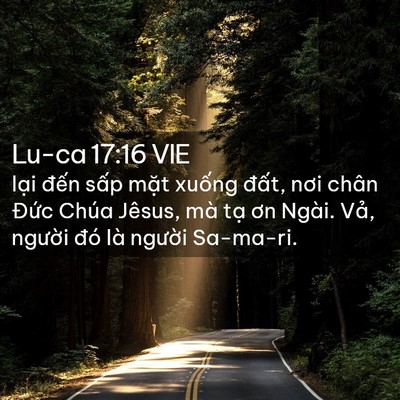 Picture 02 - Lu-ca 17:16 VIE - lại đến sấp mặt xuống đất, nơi - Bible Verse Picture