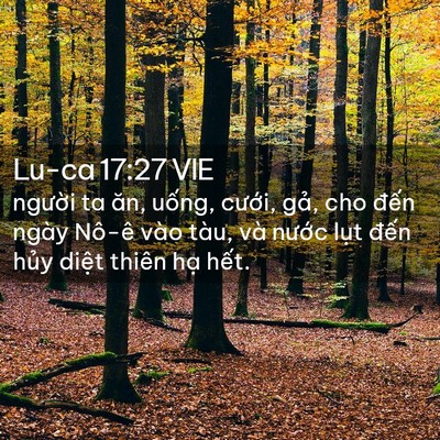 Picture 02 - Lu-ca 17:27 VIE - người ta ăn, uống, cưới, gả, cho - Bible Verse Picture