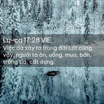 Picture 02 - Lu-ca 17:28 VIE - Việc đã xảy ra trong đời Lót cũng - Bible Verse Picture
