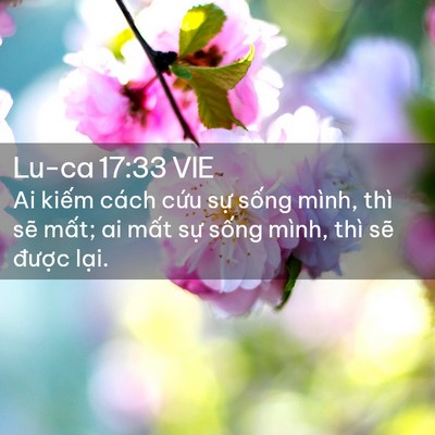 Picture 02 - Lu-ca 17:33 VIE - Ai kiếm cách cứu sự sống mình, thì - Bible Verse Picture