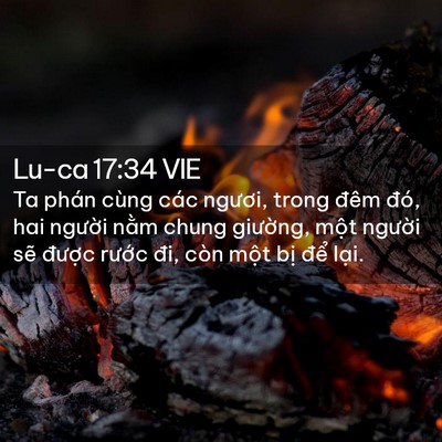 Picture 02 - Lu-ca 17:34 VIE - Ta phán cùng các ngươi, trong đêm đó, - Bible Verse Picture