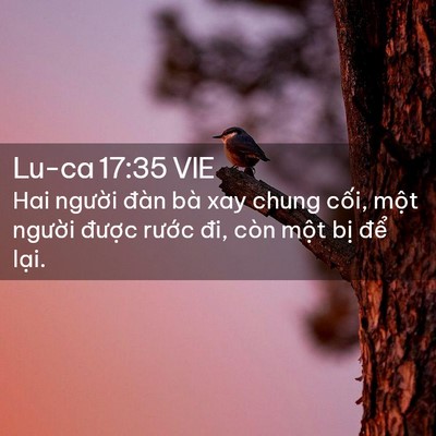 Picture 02 - Lu-ca 17:35 VIE - Hai người đàn bà xay chung cối, một - Bible Verse Picture