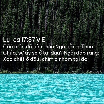 Picture 02 - Lu-ca 17:37 VIE - Các môn đồ bèn thưa Ngài rằng: Thưa - Bible Verse Picture