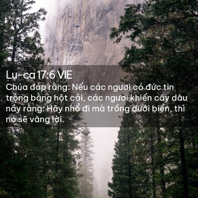 Picture 02 - Lu-ca 17:6 VIE - Chúa đáp rằng: Nếu các ngươi có đức - Bible Verse Picture