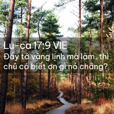 Picture 02 - Lu-ca 17:9 VIE - Đầy tớ vâng lịnh mà làm, thì chủ có - Bible Verse Picture