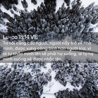 Picture 02 - Lu-ca 18:14 VIE - Ta nói cùng các ngươi, người nầy trở - Bible Verse Picture