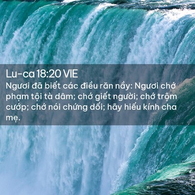 Picture 02 - Lu-ca 18:20 VIE - Ngươi đã biết các điều răn nầy: - Bible Verse Picture