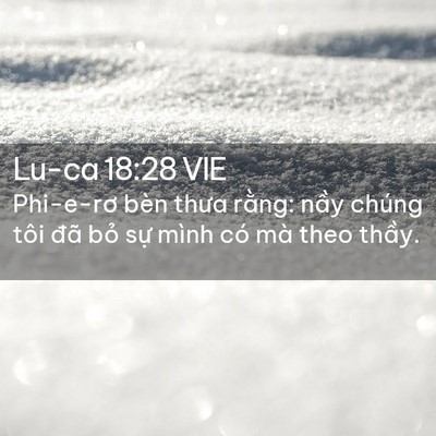 Picture 02 - Lu-ca 18:28 VIE - Phi-e-rơ bèn thưa rằng: nầy chúng tôi - Bible Verse Picture