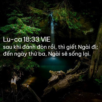Picture 02 - Lu-ca 18:33 VIE - sau khi đánh đòn rồi, thì giết Ngài - Bible Verse Picture