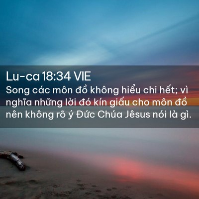 Picture 02 - Lu-ca 18:34 VIE - Song các môn đồ không hiểu chi hết; vì - Bible Verse Picture