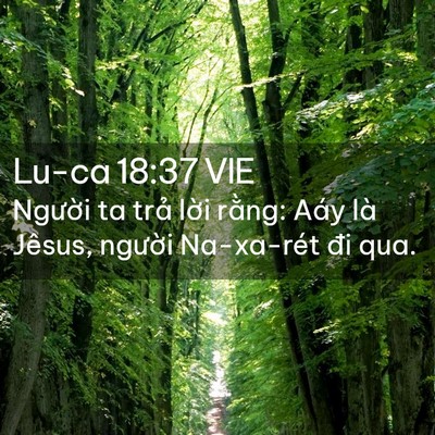 Picture 02 - Lu-ca 18:37 VIE - Người ta trả lời rằng: Aáy là Jêsus, - Bible Verse Picture