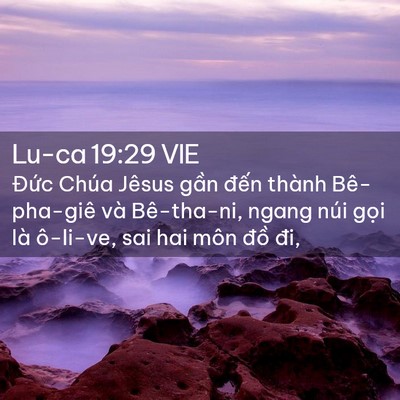 Picture 02 - Lu-ca 19:29 VIE - Đức Chúa Jêsus gần đến thành - Bible Verse Picture