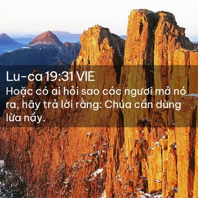 Picture 02 - Lu-ca 19:31 VIE - Hoặc có ai hỏi sao các ngươi mở nó ra, - Bible Verse Picture