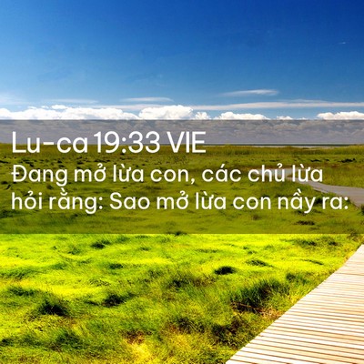Picture 02 - Lu-ca 19:33 VIE - Đang mở lừa con, các chủ lừa hỏi - Bible Verse Picture