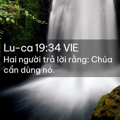 Picture 02 - Lu-ca 19:34 VIE - Hai người trả lời rằng: Chúa cần - Bible Verse Picture
