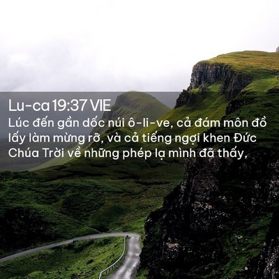 Picture 02 - Lu-ca 19:37 VIE - Lúc đến gần dốc núi ô-li-ve, cả đám - Bible Verse Picture