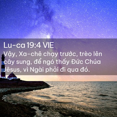 Picture 02 - Lu-ca 19:4 VIE - Vậy, Xa-chê chạy trước, trèo lên cây - Bible Verse Picture