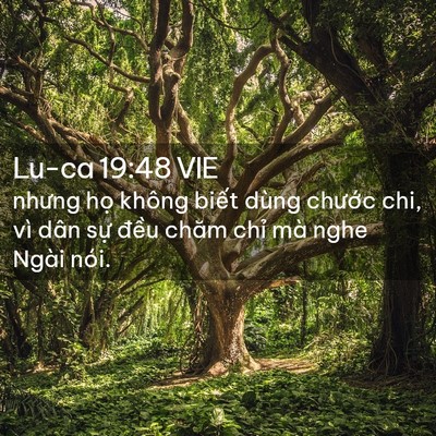 Picture 02 - Lu-ca 19:48 VIE - nhưng họ không biết dùng chước chi, vì - Bible Verse Picture