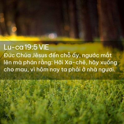 Picture 02 - Lu-ca 19:5 VIE - Đức Chúa Jêsus đến chỗ ấy, ngước - Bible Verse Picture