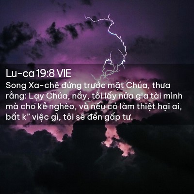 Picture 02 - Lu-ca 19:8 VIE - Song Xa-chê đứng trước mặt Chúa, thưa - Bible Verse Picture
